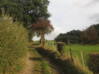 De populairste Wandelen routes in Sy, Waals Gewest (België)